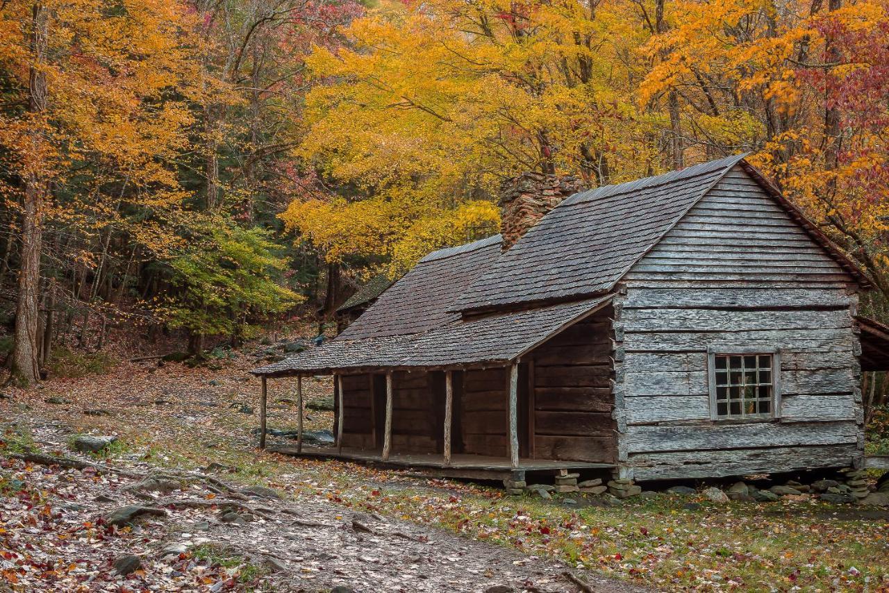 Love Shack Sevierville Dış mekan fotoğraf